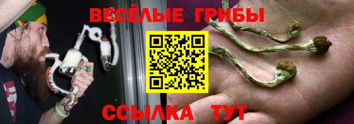 Галлюциногенные грибы Magic Shrooms  Вход с VPN  Псилоцибиновые грибы Cubensis  как найти закладки  Славгород 